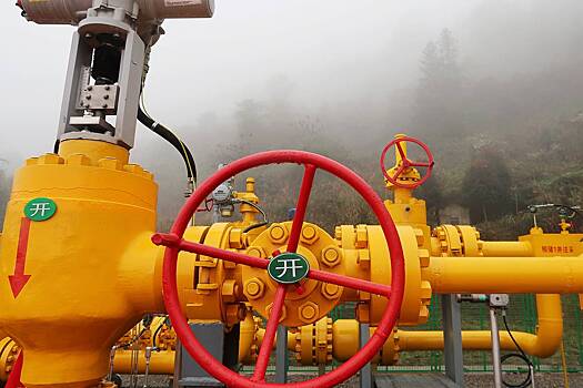 Китай объяснил нежелание покупать российский газ по новому маршруту