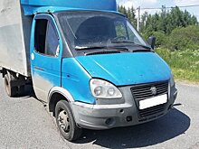 В Лянгасово пьяный водитель «Газели» на глазах росгвардейцев врезался в столб