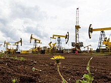 "Удмуртнефть" -- пример успешного китайско-российского сотрудничества в нефтегазовой отрасли