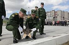 Терешкова заложила две новые именные звезды на "Аллее космонавтов" в Ярославле