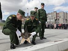 Терешкова заложила две новые именные звезды на "Аллее космонавтов" в Ярославле