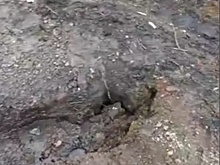 Новокузнечане пожаловались на огромные ямы в одном из микрорайонов города
