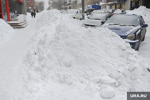 Мэр Челябинска Котова поручила расчистить от снега подходы к школам