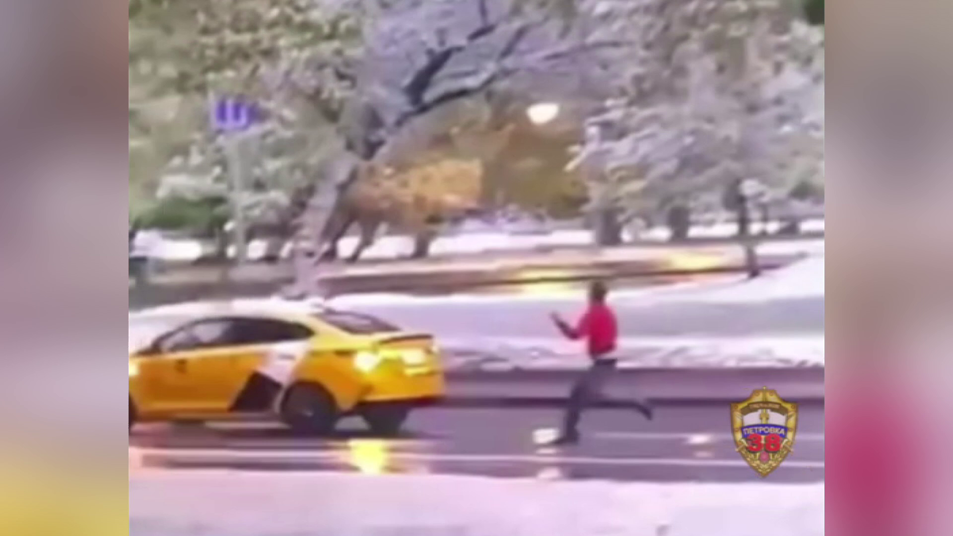 Столичная полиция задержала подозреваемого в угоне машины такси, водителем которой оказался нелегал