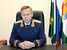 Андрей Виноградов: Борзыми щенками взятки не берут! Берут купюрами определенного номинала