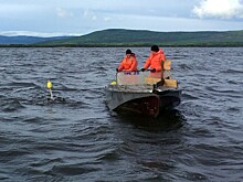 Лов лосося в Хабаровском крае будет снова ограничен