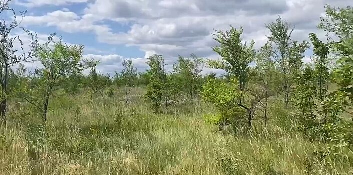 Саратовские чиновники нашли нарушения на 12 участках сельхозназначения