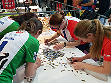 Складывали паззл - выиграли паззл: новосибирцы победили в чемпионате Европы по сбору мозайки