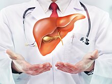 В лимфоузлах успешно вырастили “запасную” печень