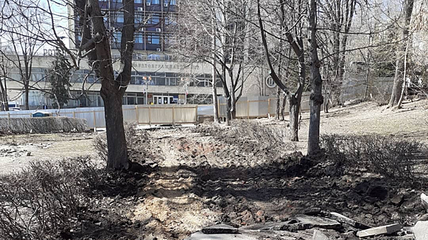 Жительница: Ремонт саратовской набережной начался с повреждения кустарников и корней деревьев