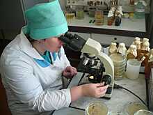Минсельхоз: в планах открытие 300 лабораторий по выдаче сертификатов экспортной продукции