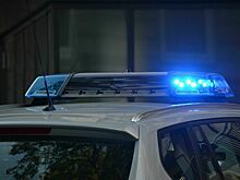 В Петербурге во время зимних каникул произошло почти 3000 ДТП