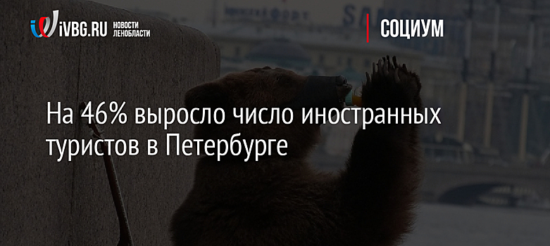 На 46% выросло количество иностранных туристов в Петербурге