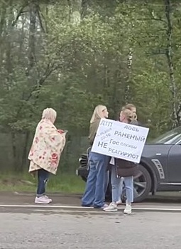 История с лосенком Илюшей показала сложности при спасении диких животных