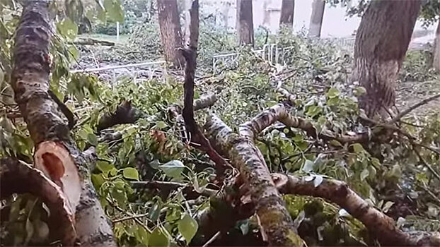 Аномальный ураган обрушился на Ржев