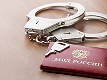 В Москве задержали владельцев телеграм-каналов, вымогавших деньги у политиков