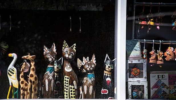 Самозанятым предложили разрешить ставить ларьки