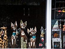 Самозанятым предложили разрешить ставить ларьки