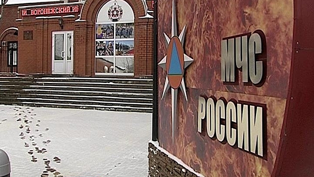Воронежский институт МЧС ликвидируют осенью 2017 года