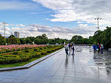 Жители мегаполиса больше оценили «островки природы» во время пандемии