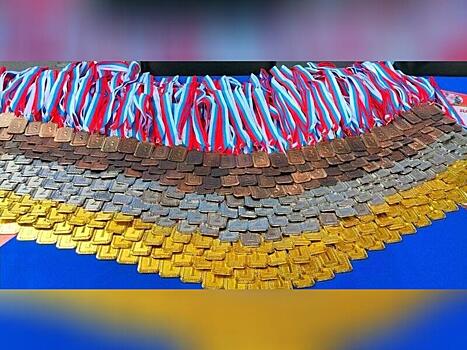 Забайкальские спортсмены привезли почти 20 медалей из Улан-Удэ