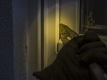 Злоумышленники ограбили дом рэпера Boulevard Depo, пока он был на гастролях