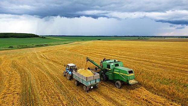 Урожай увидят из космоса: в РФ введут систему мониторинга сельхозугодий