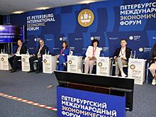 Участники ПМЭФ'23 обсудили вклад некоммерческого сектора в экономику России
