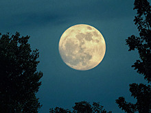 Есть ли связь между Луной и женским здоровьем: мифы и наука