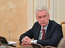 Ограничения до появления вакцины, график прогулок и план восстановления экономики