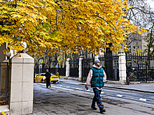 Налоговики начали проверять доходы неработающих москвичей