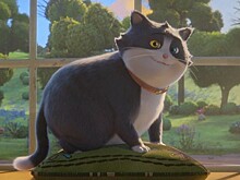 Сборы мультфильма «10 жизней» достигли крупной юбилейной цифры