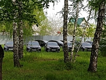 Найденным в лесу иномаркам нашли применение