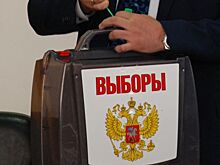 Вопрос о заместителях главы администрации Нижнего Новгорода решится 15 ноября