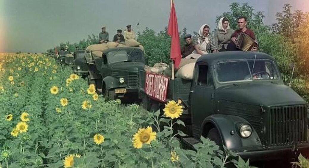 Огромную роль в развитии Советского Союза играли колхозы. Сельские жители помнят дружную, слаженную работу в полях и по сей день.  