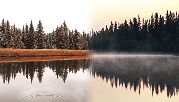 Фотографии-близнецы, сделанные в разных уголках планеты