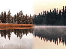 Фотографии-близнецы, сделанные в разных уголках планеты