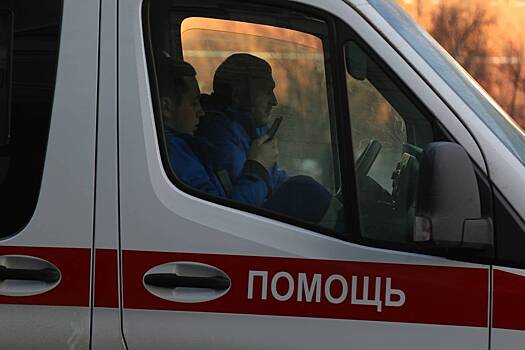 В российском регионе иномарка сбила двух детей на переходе