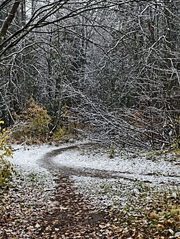 Эколог: первый снег в Ижевске выпал своевременно
