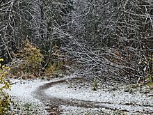 Эколог: первый снег в Ижевске выпал своевременно