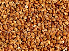 Волгоградец заявил, что барыги и мародёры возьмут верх над правительством на фоне цен