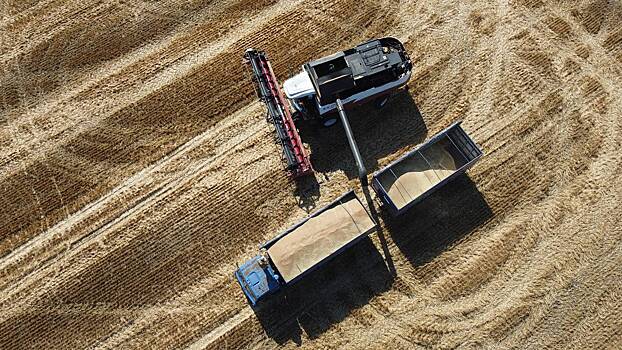 Минсельхоз заявил о серьезной проблеме российских аграриев