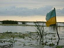 WSJ: Украина скоро израсходует все боеприпасы из США