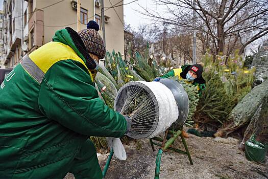 Перечислены преимущества половинки елки в доме