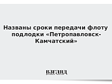 Названы сроки передачи флоту подлодки «Петропавловск-Камчатский»