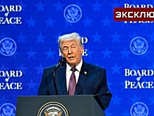 Эксперт объяснил нежелание стран Европы присоединяться к Совету мира