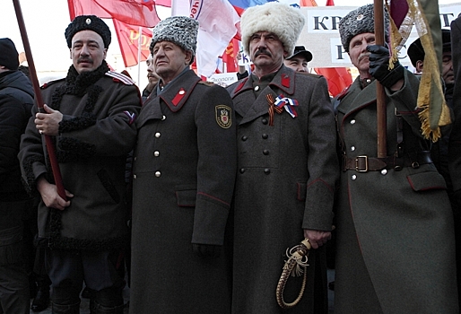 Омским казакам выделят еще 13 миллионов на охрану порядка и обслуживание дорожных камер