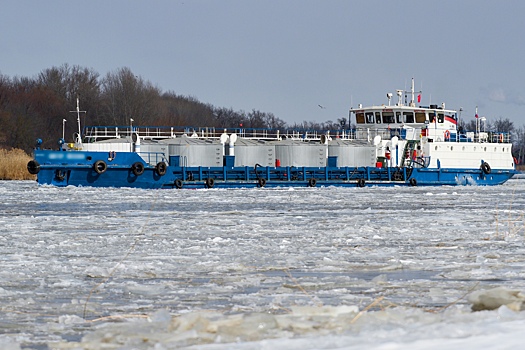 Опасные соленые морские воды зафиксировали в дельте реки Дон