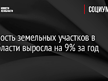 Стоимость земельных участков в Ленобласти выросла на 9% за год