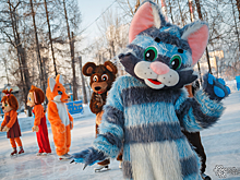 Аниматоры-аферисты коварно опустошали карманы сибиряков в новогодние праздники